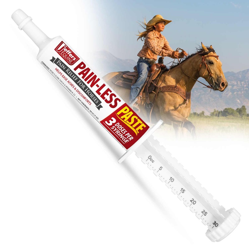 Pain-Less Comfort Paste for Horses, 30cc Syringe