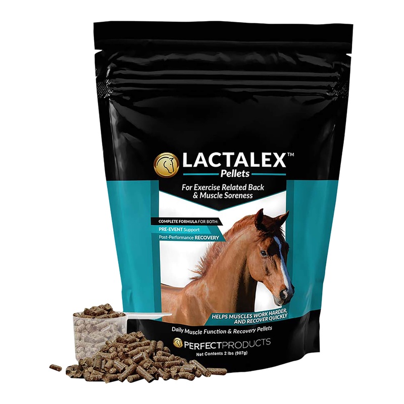 Perfect Prep EQ Lactalex Muscle Support Horse Supplement Pellets