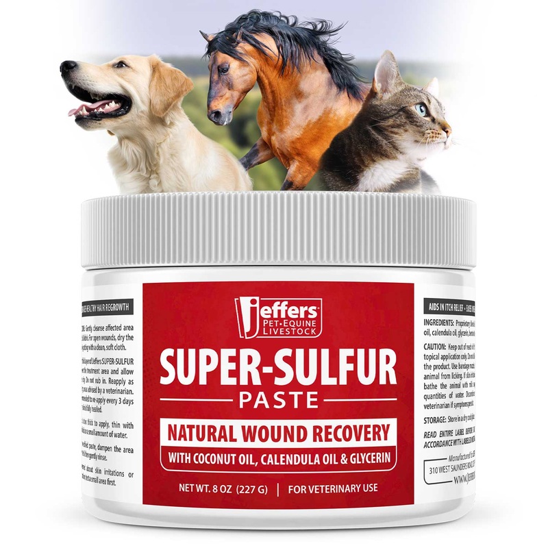 Super Sulfur Wound Healing Paste for Pets, Horses, & Livestock