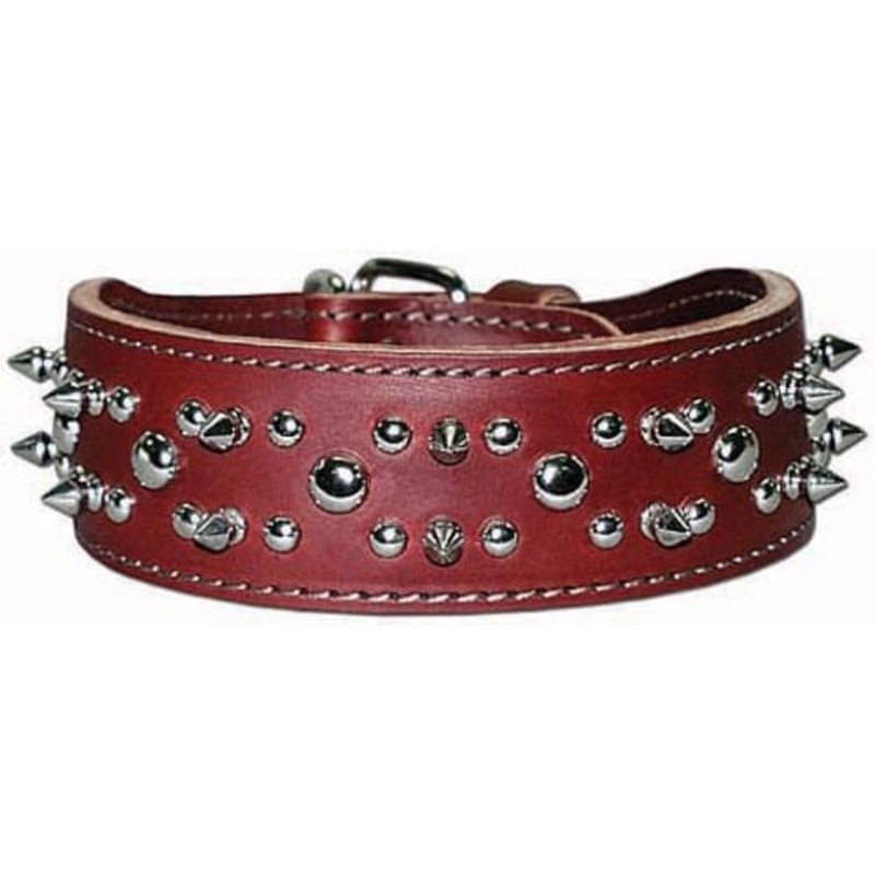 Latigo Spike & Stud Collar, 21