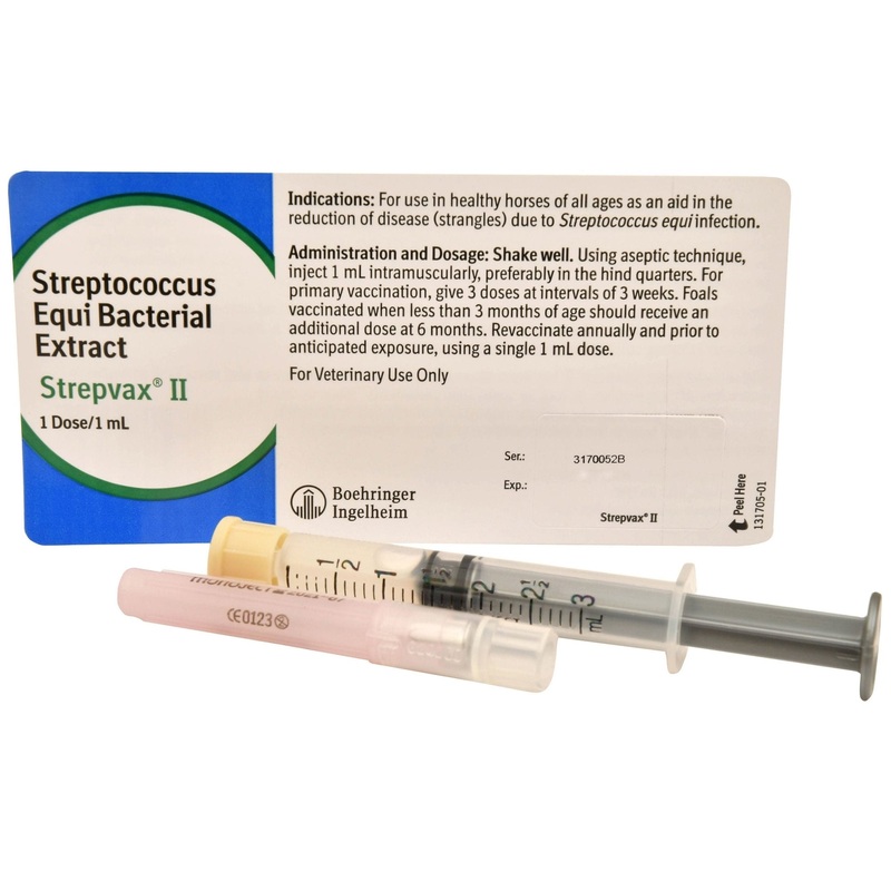 Strepvax II (with syringe/needle) Vaccine for Horses