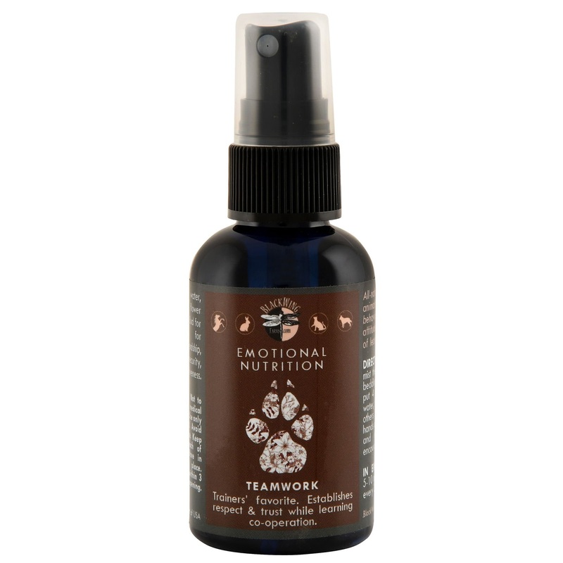 Teamwork – Flower Essence Remedy for Dogs, Cats, & Horses, 2 oz