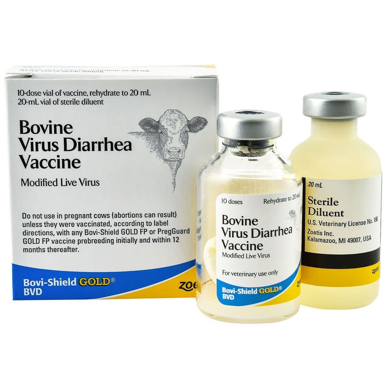 Bovi-Shield Gold BVD Cattle Vaccine