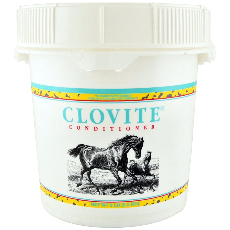 Clovite Conditioner / Vitamin Supplement for All Animals
