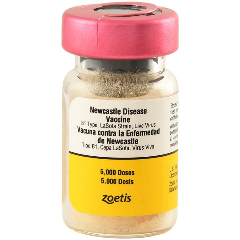 Newcastle Disease Cattle Vaccine – 5,000 Dose