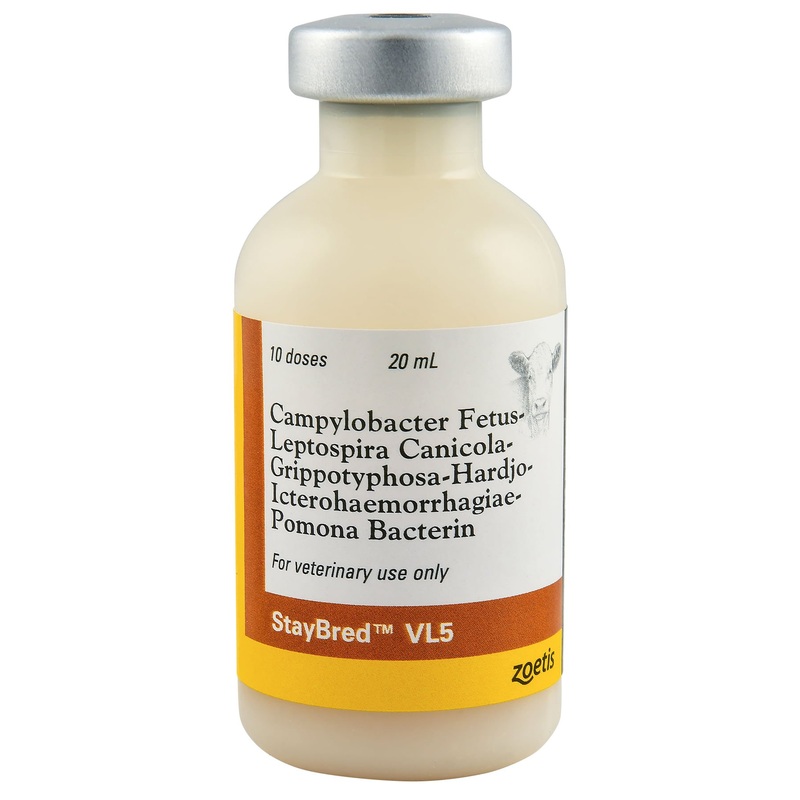 StayBred VL5 Cattle Vaccine|50 Dose