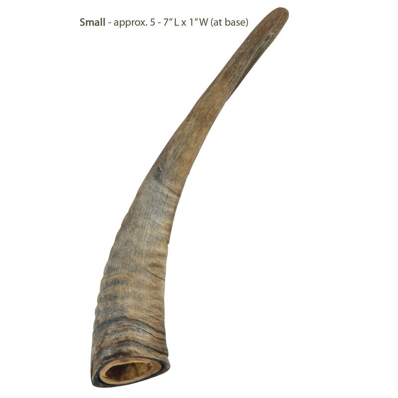 Gobi Goat Horn Natural Dog Chew