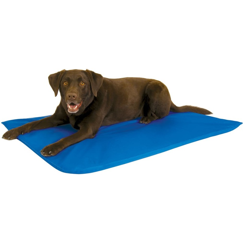 K&H Cool Bed III for Dogs|Small|Medium|Large|Blue