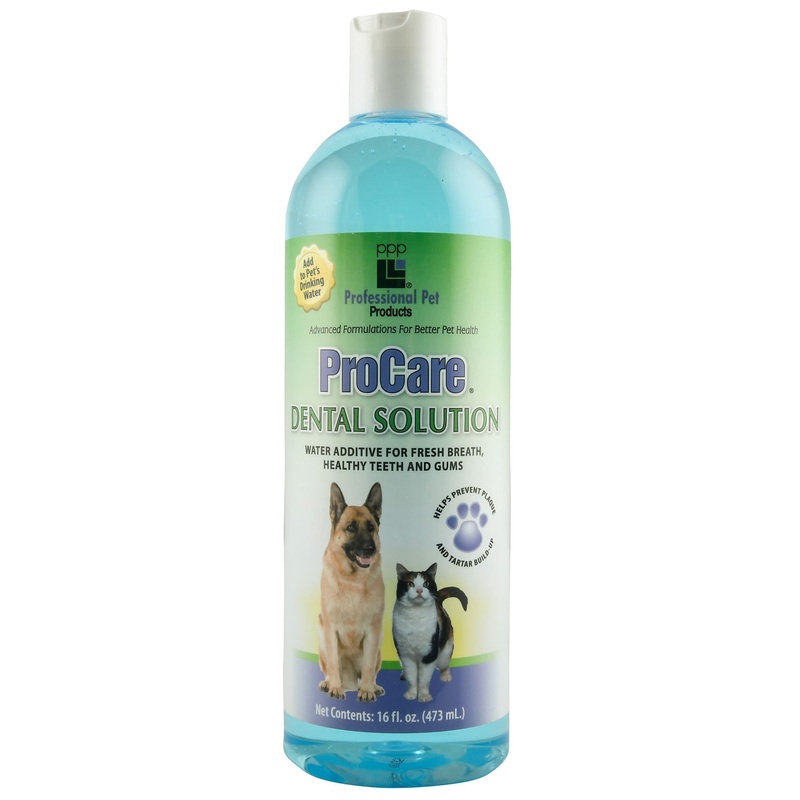 ProCare Dental Solution for Dogs & Cats, 16 oz