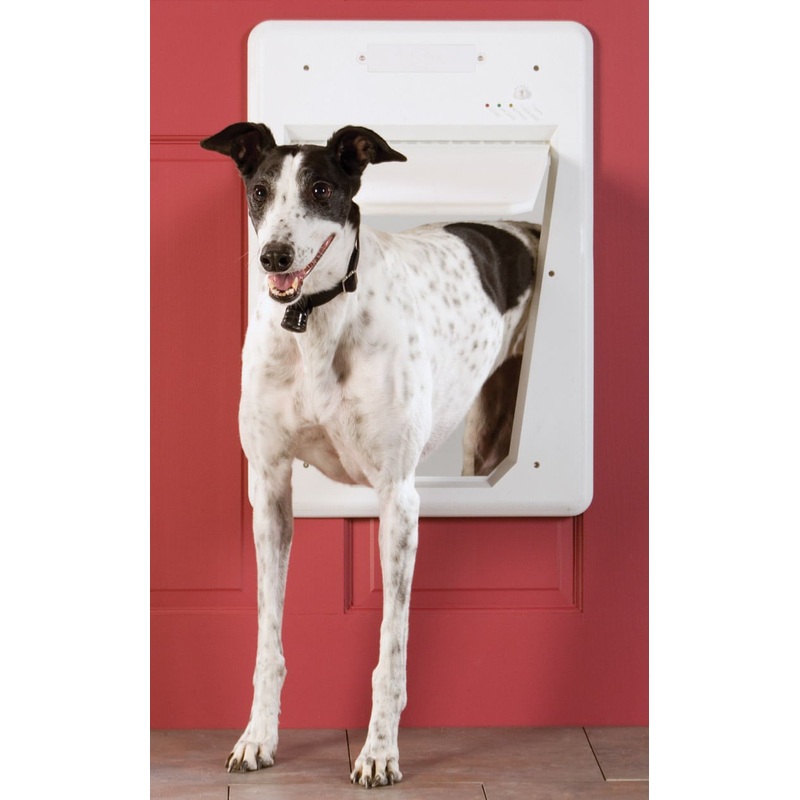 PetSafe Electronic Smart Dog Door