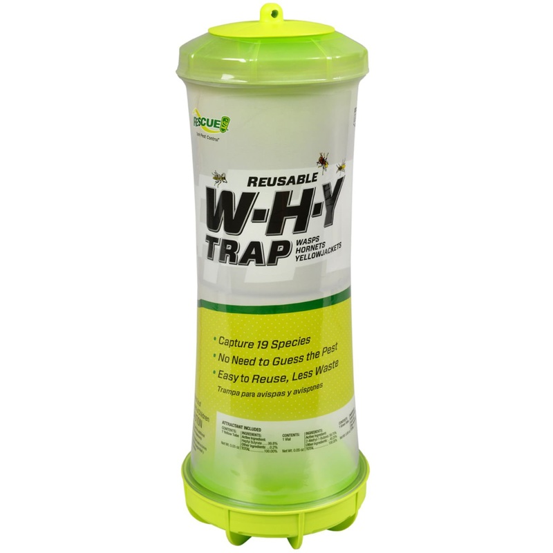 RESCUE! W-H-Y Traps (& Refills) for Wasps, Hornets, and Yellowjackets