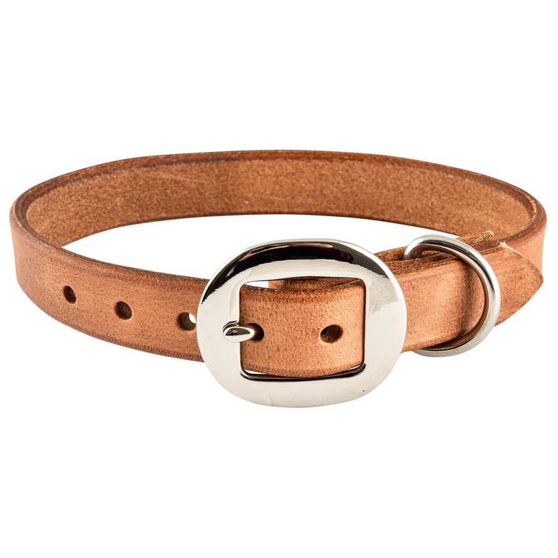 San Saba Dog Collar|14 in|20 in|22 in|24 in|16 in