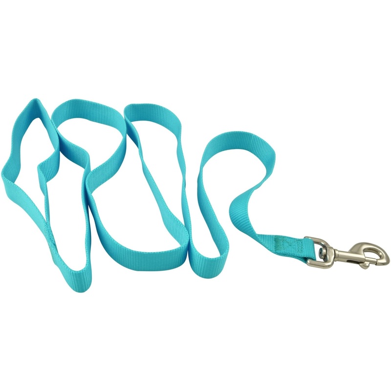 1-Ply Web Nylon Dog Leashes|5/8″W x 4’L|5/8″W x 6’L|1″W x 4’L|1″W x 6’L|Red|Royal Blue|Purple|Black|Orange|Turquoise|Hot Pink|Pumpkin|Neon Yellow