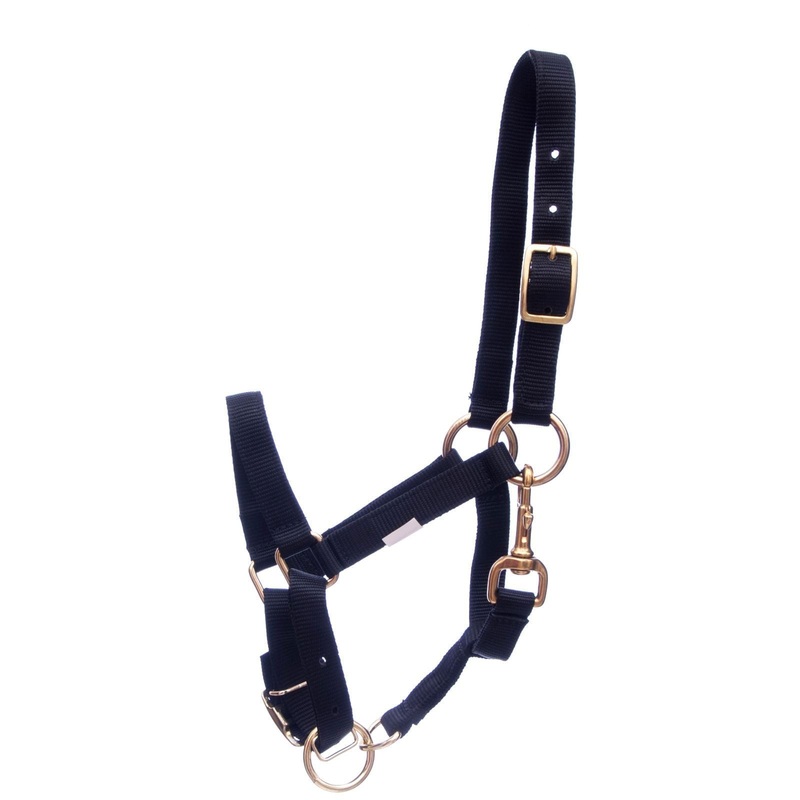 Adjustable Nylon Miniature Horse Halter