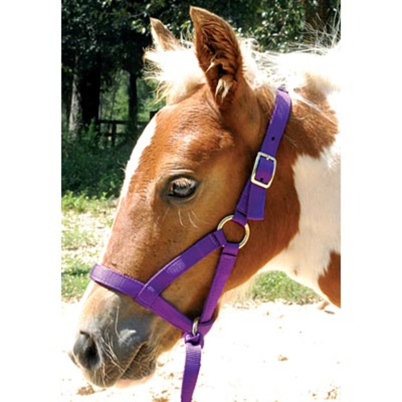 Nylon Grow With Me Weanling Horse Halter, 3/4W