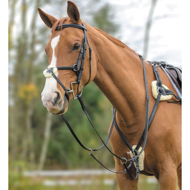 Shires Five Point Breastplate|Brown|Black|Pony|Cob|Full|XFull
