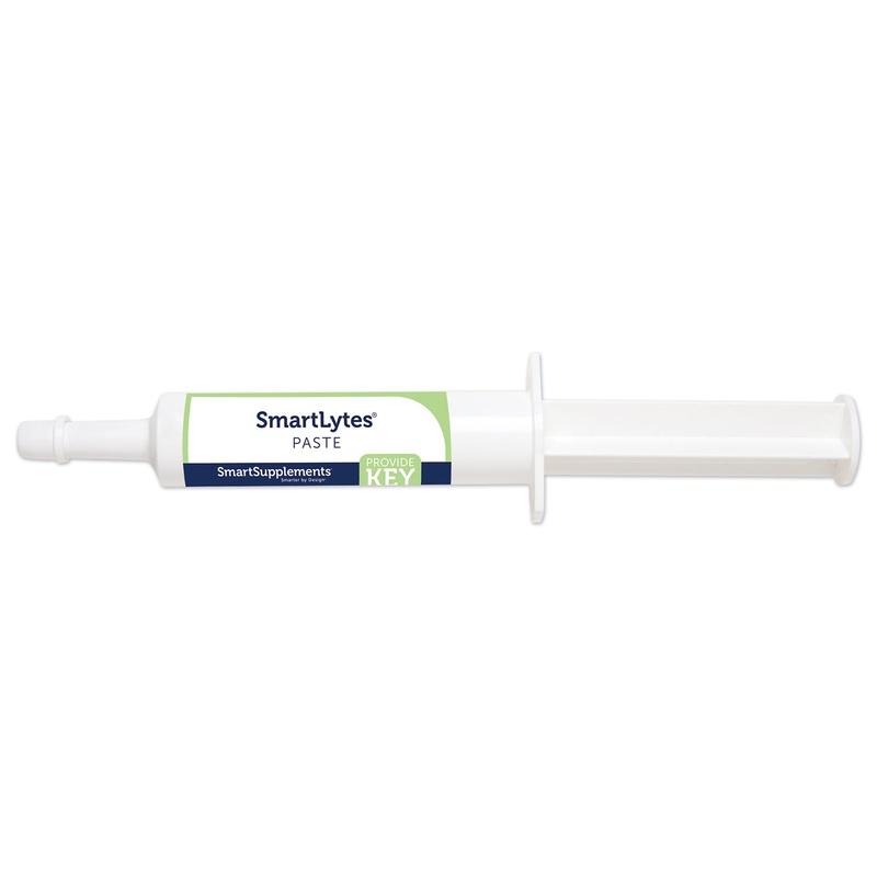 SmartEquine SmartLytes Electrolyte Paste for Horses