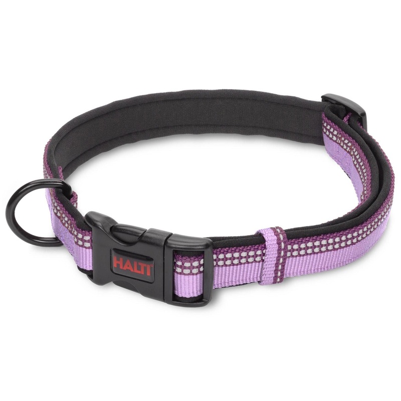 Halti Collar, Purple|Small