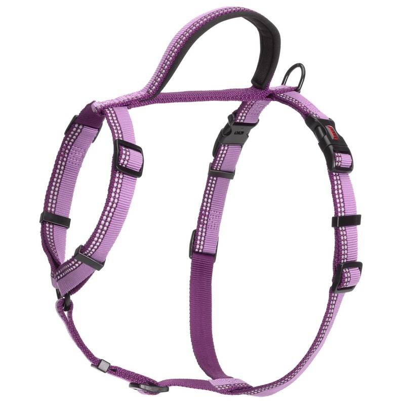 Halti Walking Harness, Purple|Medium