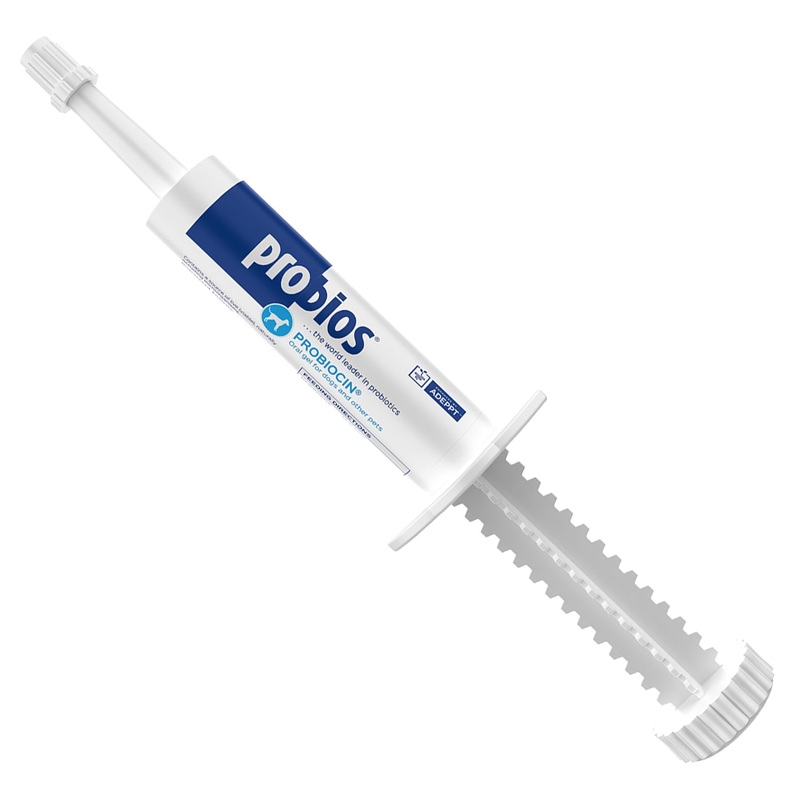 Probios Probiocin Oral Pet Gel for Dogs and Other Pets, 15 g