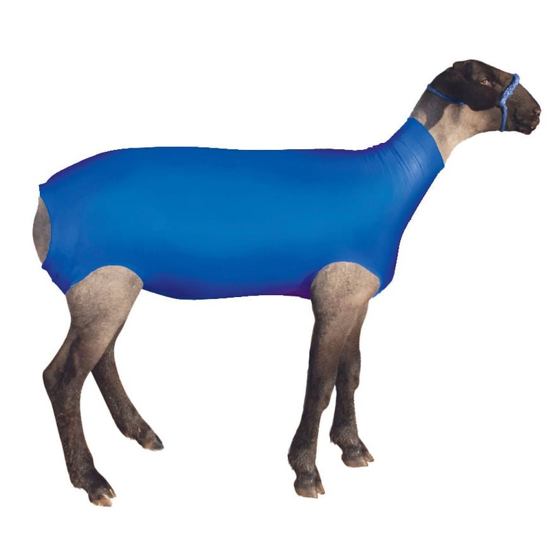 ShowPro Spandex Lamb Tube|Blue|Neon Green|Orange|Pink|Purple|Small|Medium|Large|XLarge