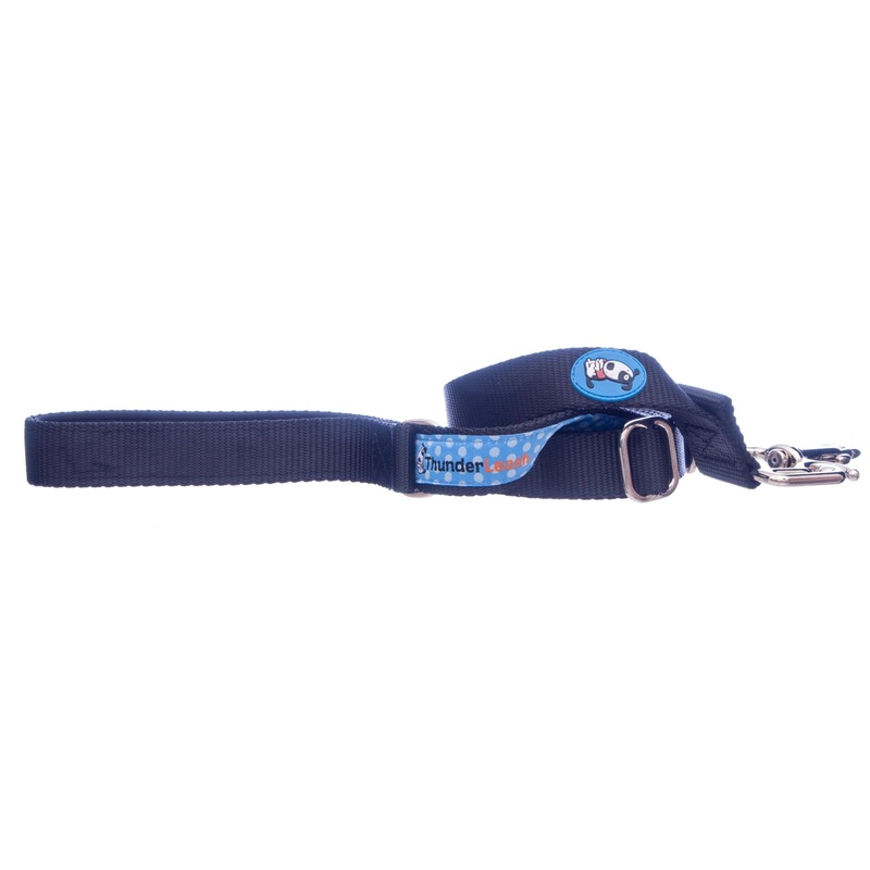 ThunderLeash Dog Leash|Blue Polka Dot|Small