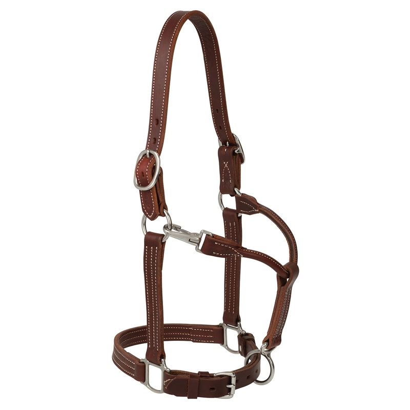 Weaver Ranch Leather Horse Halter