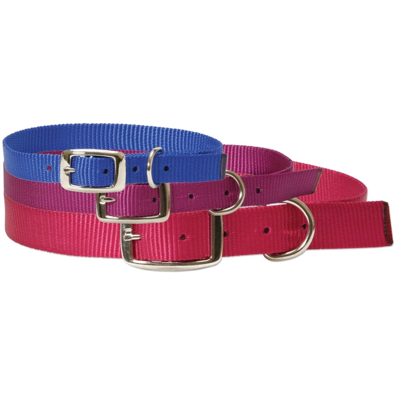 Nanny Goat Collar – Doe|Pink Fusion|Purple|Blue