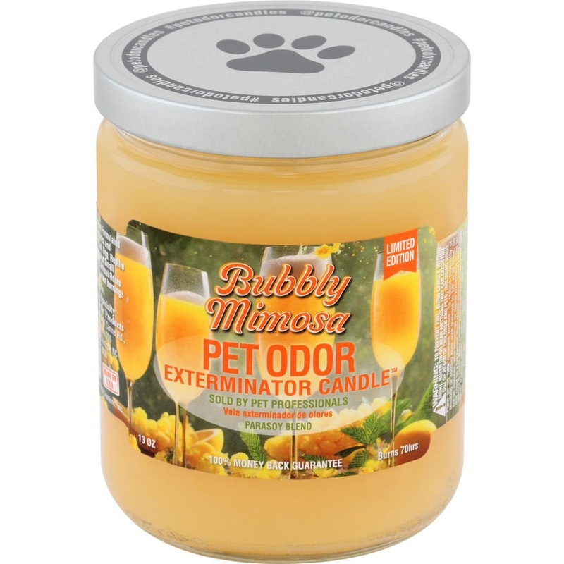 Pet Odor Exterminator Candle, Bubbly Mimosa, 13 oz