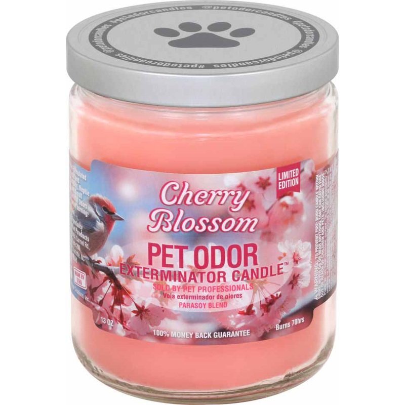 Pet Odor Exterminator Candle, Cherry Blossom, 13 oz