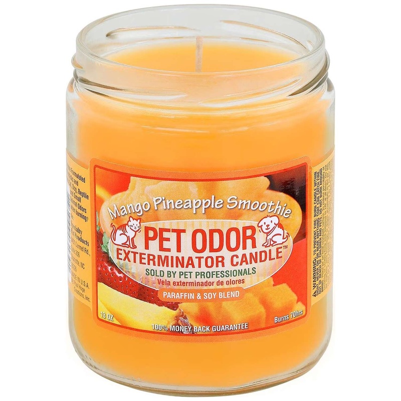 Pet Odor Exterminator Candle, Mango Pineapple Smoothie, 13 oz