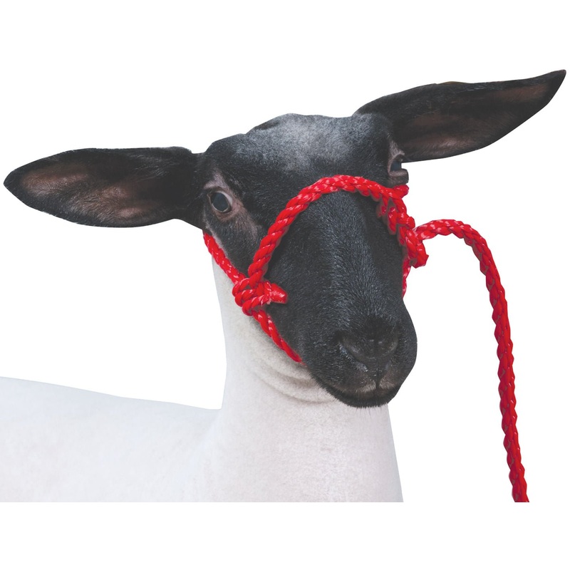 Weaver Leather Sheep & Goat Poly Rope Halter