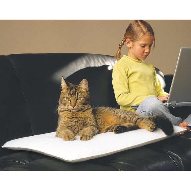 Mysterious Purr Padd|2 pack|Charcoal