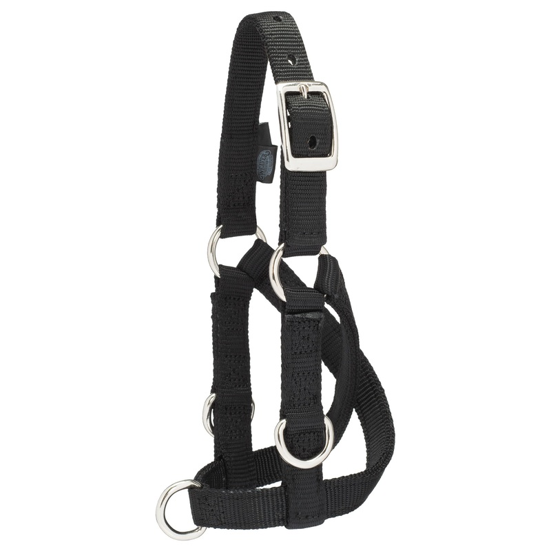 Sheep/Goat Treadmill Halter|Small|Medium|Large