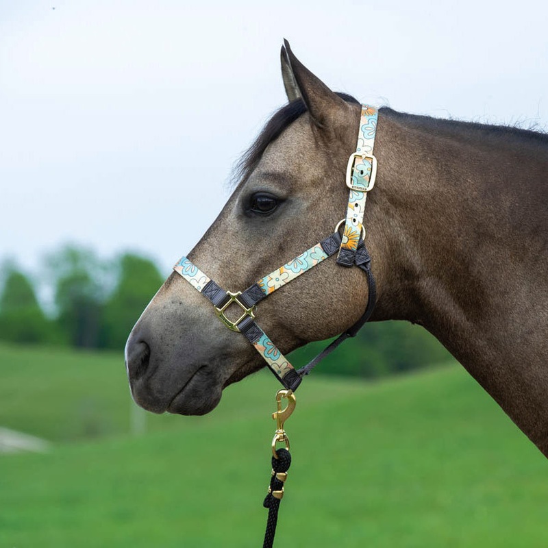 Weaver PatternedNylon Overlay Halter for Horses