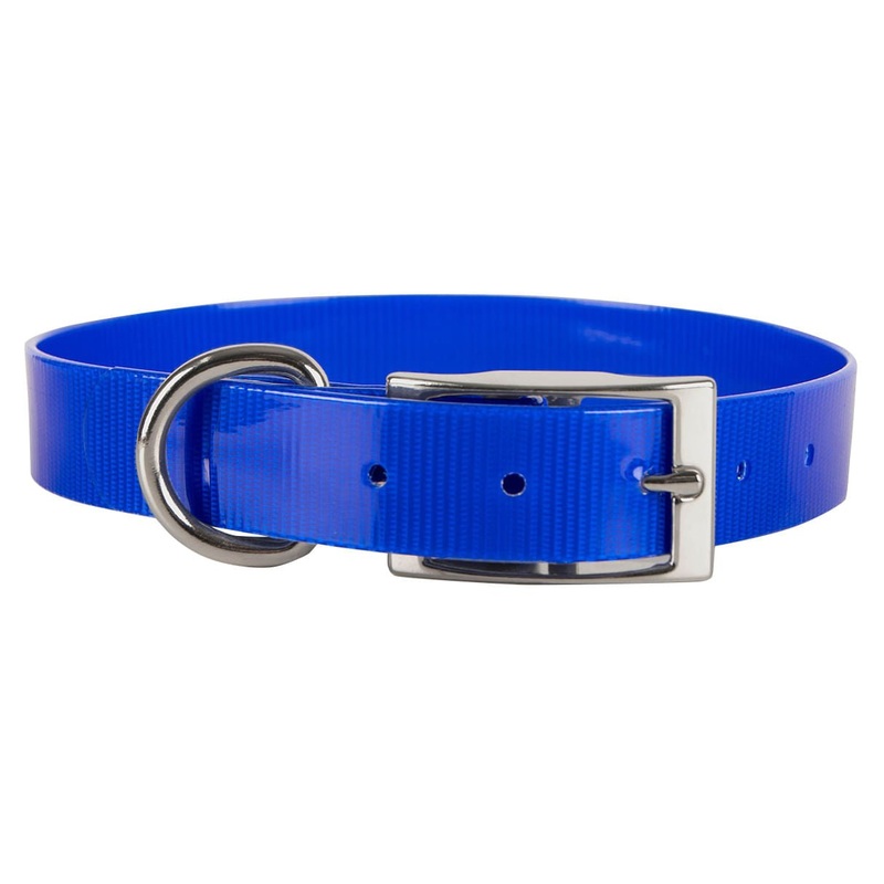 Sunglo Dog Collars|Blue|Orange|Pink|Purple|Red|Yellow|1″x 17″|1″x 19″|1″x 21″|1″x 23″|1″x 25″|1″x 27″|1″x 30″