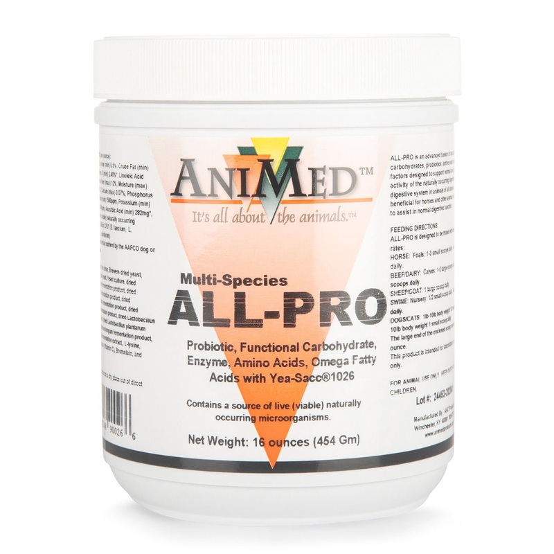 Animed ALL-PRO Probiotic Supplement for Multi-Species Animals