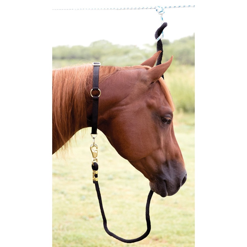 Mustang Horse Neck Collar, 1|Red|Blue|Black