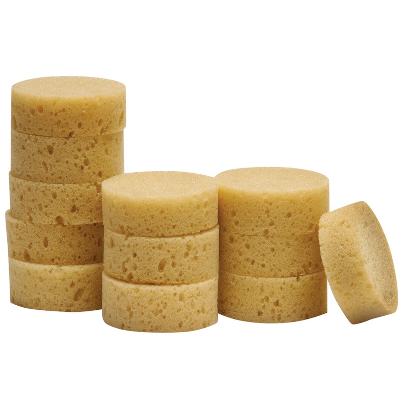 Sponges|Small Rainbow Tack Sponges (12 pk)|Body Sponge|Humpback Sponge