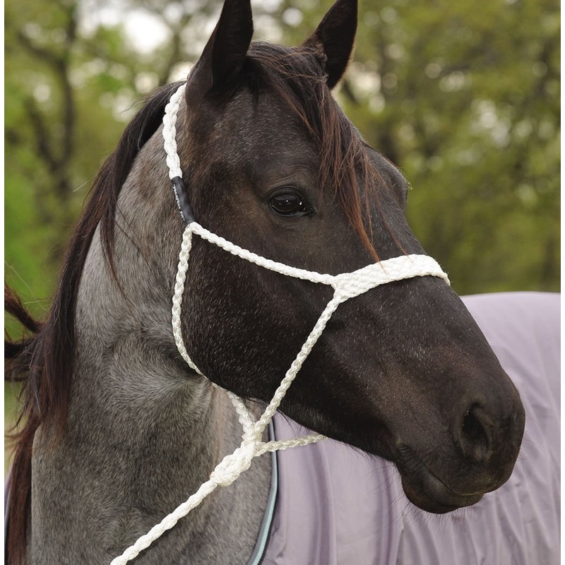Mule Tape Halter, White