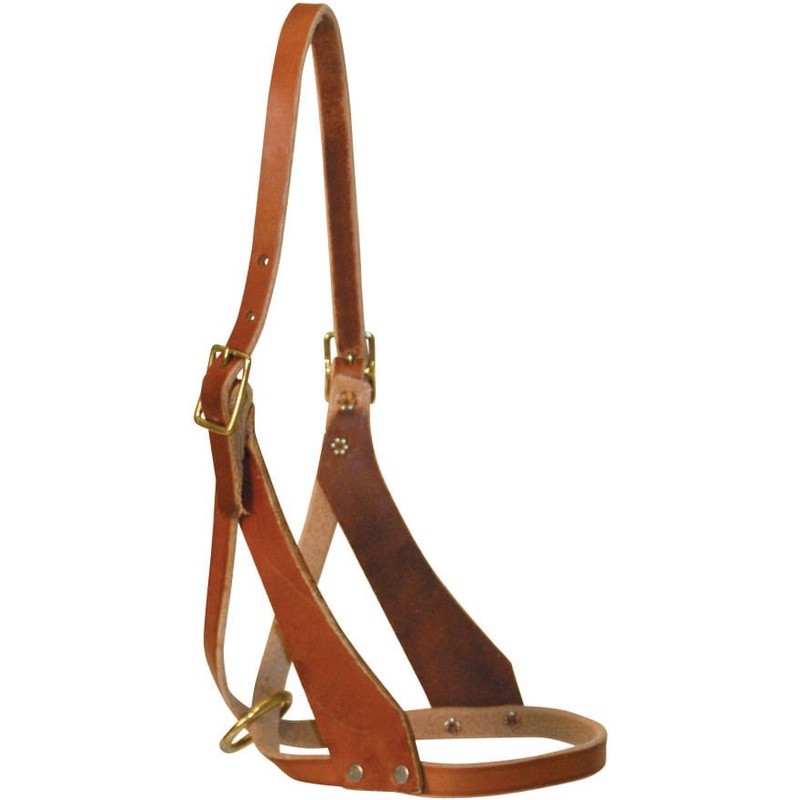 Riveted Figure 8 Foal Breakaway Halter