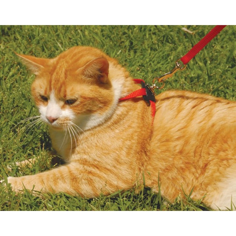 Size Right! Adjustable Cat Harness