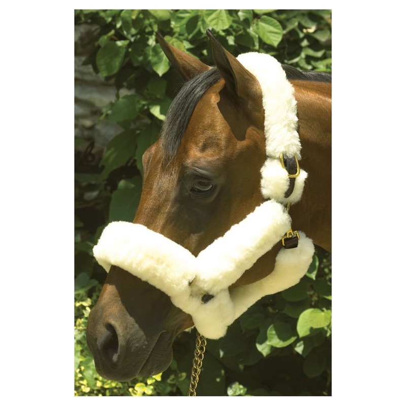 Perri’s Genuine Sheepskin Shipping Halter, Havana/Natural