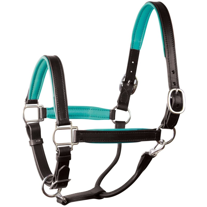 Perri’s Soft Padded Leather Halter, Black/Turquoise