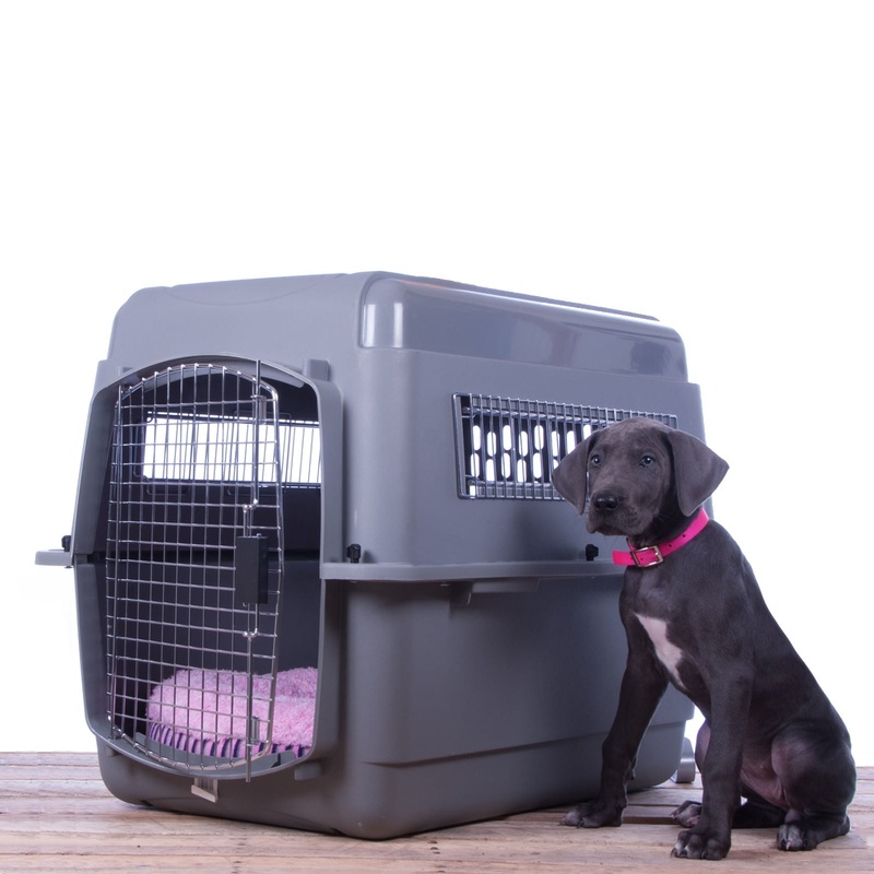 Sky Kennel Travel Pet Kennel with Food & Water Bowls Included
