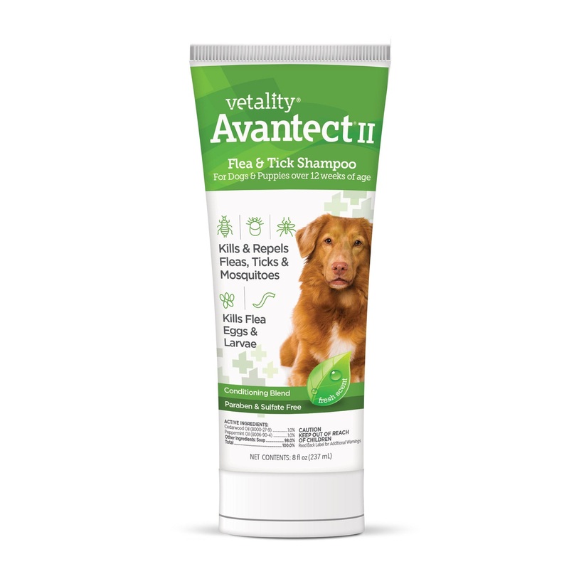 Vetality Avantect II Flea & Tick Shampoo for Dogs – Paraben & Sulfate Free