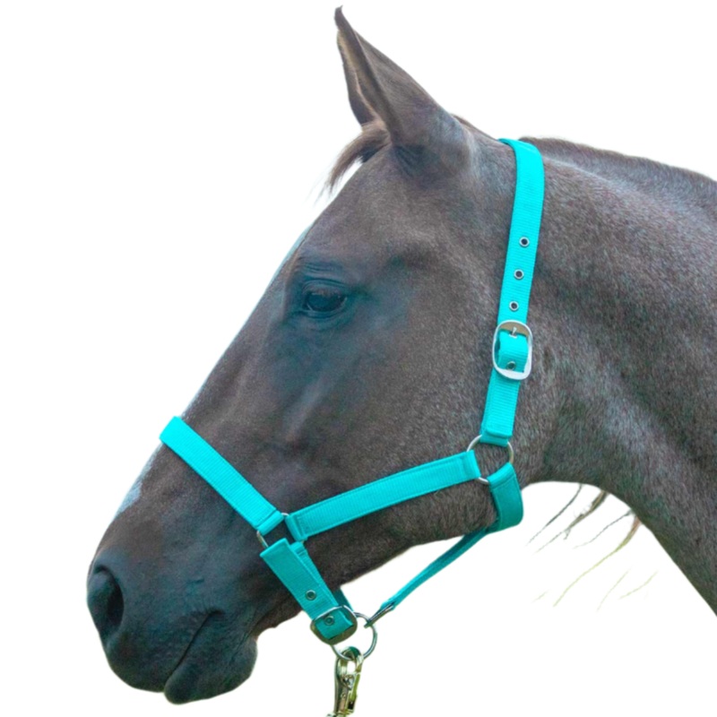 Adjustable Nylon Full Size Horse Halter