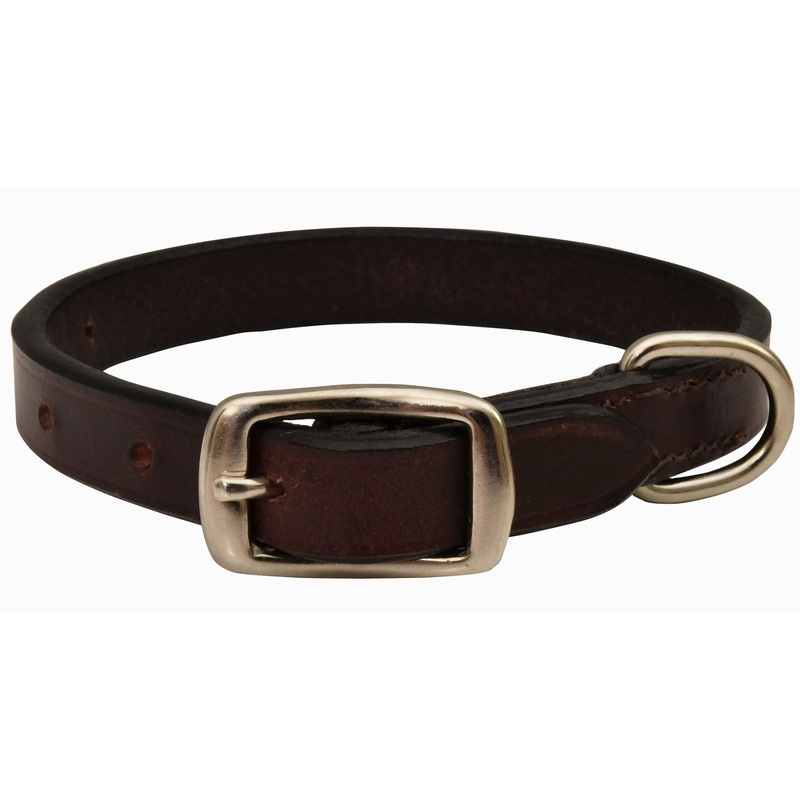 Premium Flat Leather Dog Collars