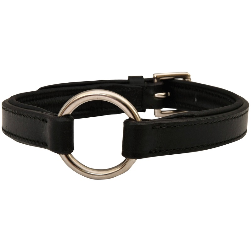 Premium Padded Black Leather Dog Collars