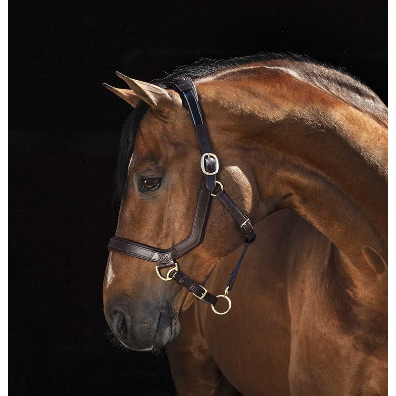 Rambo Micklem Leather Horse Halter